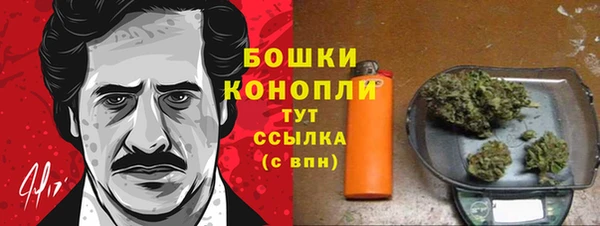 гидра Волосово